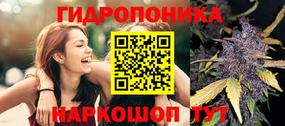 индика Кумертау