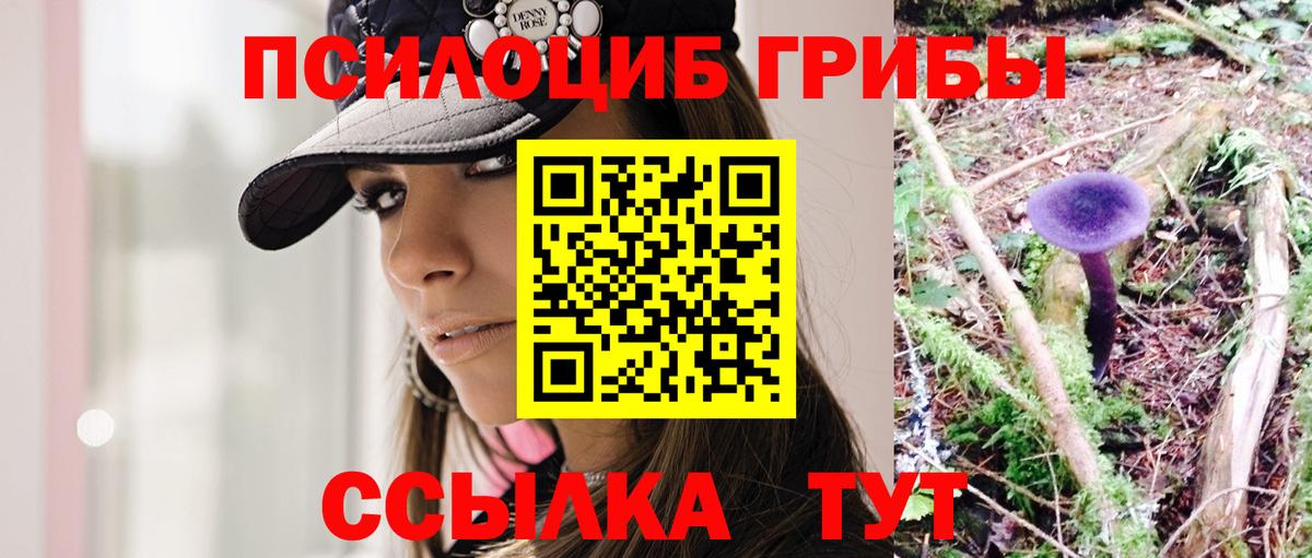 Псилоцибиновые грибы Psilocybine cubensis  Вход с VPN  Шадринск  купить наркоту  Псилоцибиновые грибы ЛСД 