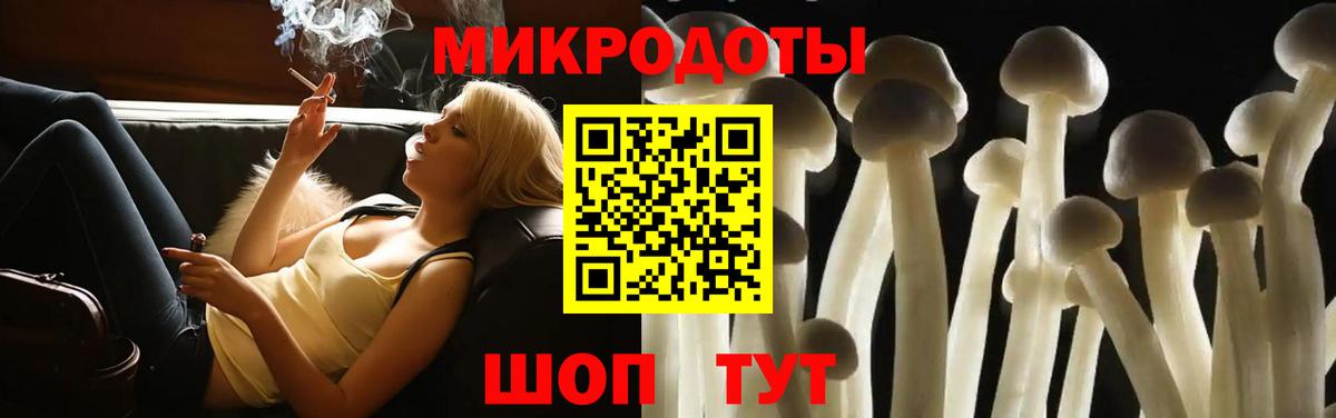 Псилоцибиновые грибы Cubensis Шадринск
